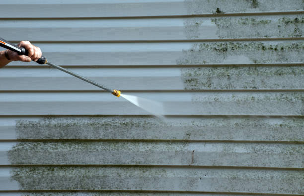 Best Mold Cleaning Services  in Corinth, MS