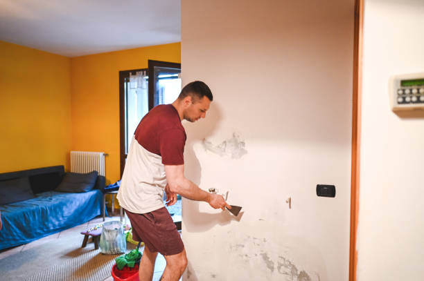 Best Best Mold Removal Companies  in Corinth, MS